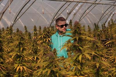 Interview Stoner VIP : Charlie P