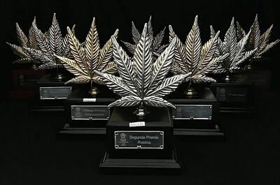 Copas de Marihuana de Medical Seeds