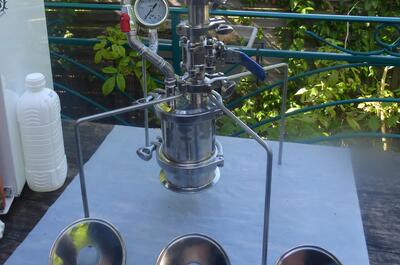 Les trophées de la cannabis cup.