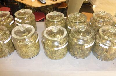 Reportage photo CBD Expo Lyon