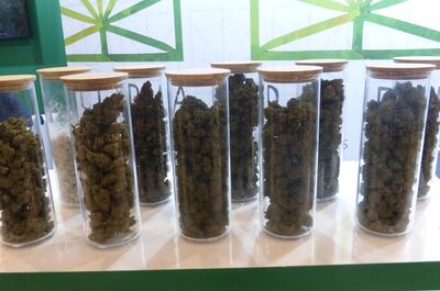 Reportage photo CBD Expo Lyon