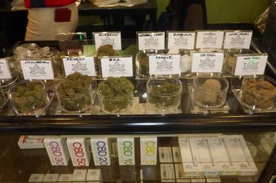 Reportage photo CBD Expo Lyon