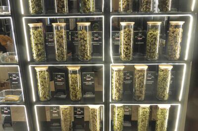 Reportage photo CBD Expo Lyon