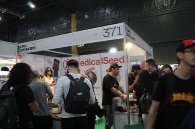 standmedicalseeds