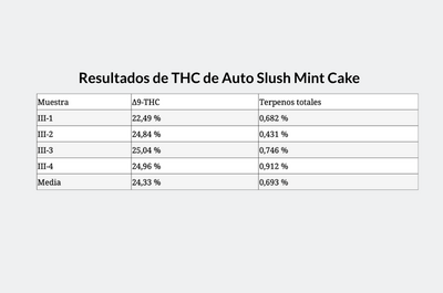 Resultados de THC de Auto Slush Mint Cake