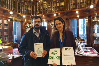 LeyCannabisMedicinal