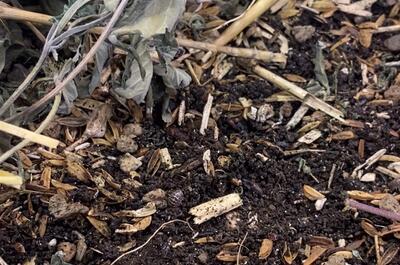 Living Soil - Die Philosophie der lebenden Erde