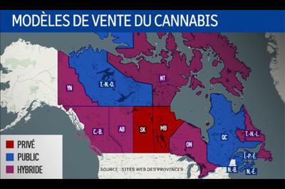 Québec : la proposition du Bloc Pot pour faire face à la pénurie de cannabis légal