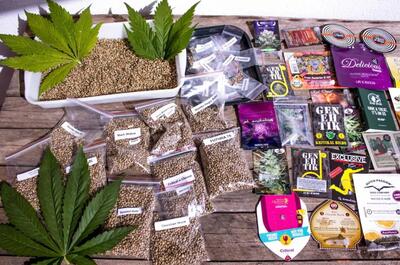 Photo de paquets de banques de graines de cannabis et de graines de cannabis en vrac