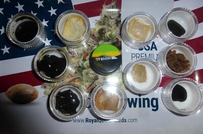  Underground French Cup 2022