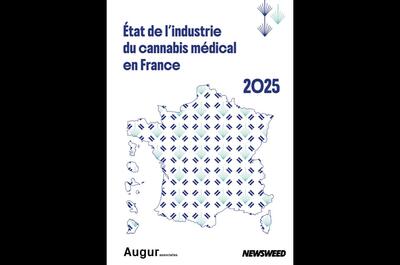 Un rapport sur la généralisation du cannabis médical en France