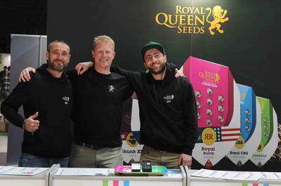 Royal Queen Seeds