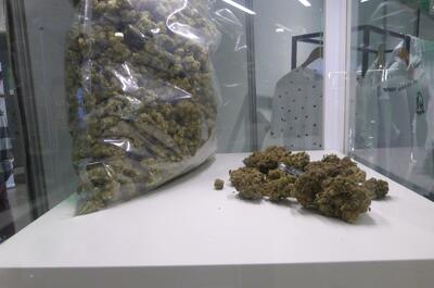 Reportage au salon du CBD à Lyon