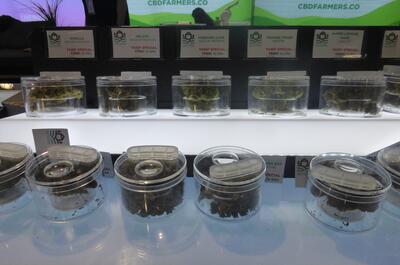 Reportage au salon du CBD à Lyon