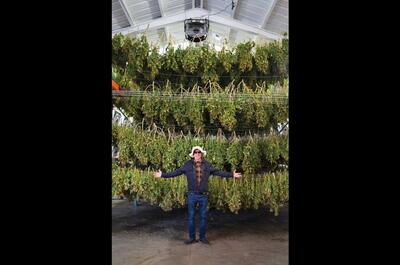 Ed Rosenthal : «Le cannabis doit être réglementé comme les tomates !»