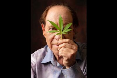 Ed Rosenthal : «Le cannabis doit être réglementé comme les tomates !»