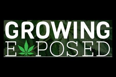 Soft Secrets Selection Décembre 2022