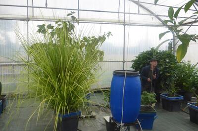 Visite des serres de Terra Aquatica