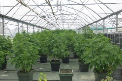 Visite des serres de Terra Aquatica