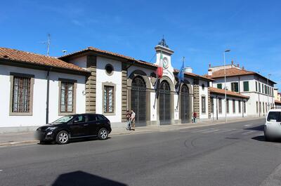 Interruzione produzione militare di cannabis: il punto con Agenzia Industria Difesa