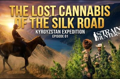 Soft Secrets Selection Avril 2026