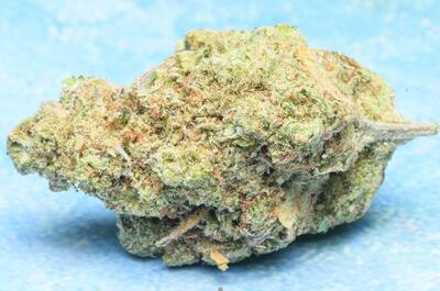 Super Silver Haze clásica de coffeeshop en Holanda
