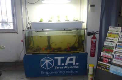 Terra Aquatica Fest 2023 : le festival des growshops