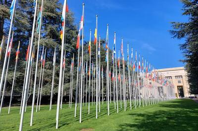 unesco, politiche, pianta, cannabis