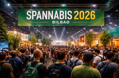 Von Barcelona nach Bilbao: Die Spannabis beginnt ein neues Kapitel 3
