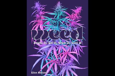 Soft Secrets Selection Novembre 2025