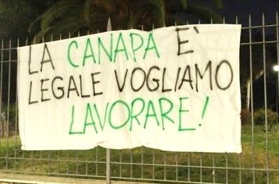 "La canapa è legale. Vogliamo lavorare": protesta pacifica per la chiarezza