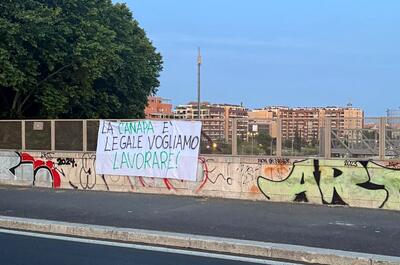 "La canapa è legale. Vogliamo lavorare": protesta pacifica per la chiarezza