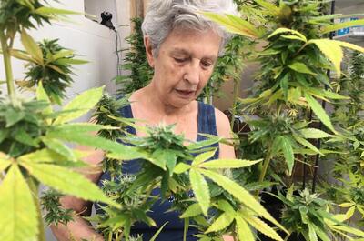 Alicia Castilla sobre regulación de la marihuana, la ve "floja, hay como una conspiranoia".