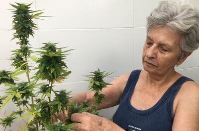 Alicia Castilla: su prisión fue paradigmática para la regulación de la marihuana en Uruguay.