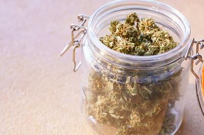 an image showing an open glass jar full to the brim with green puffy buds of cannabis.