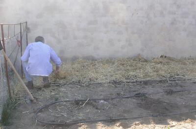 Bancal de marihuana paredes en crestall