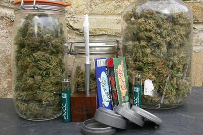 Imagen de un bodegón final de una cosecha de marihuana