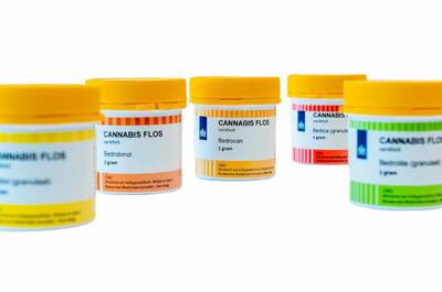 Bote y cogollos secos de marihuana medicinal producidos por la empresa neerlandesa Bedrocan
