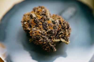 Macro macro shot of a dense purple cannabis bud with vibrant orange pistils resting on a smooth decorative plate.