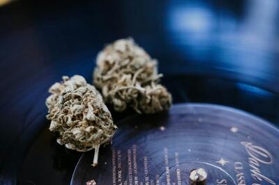 Marijuana buds on a vinyl record, symbolizing the relationship between cannabis and music.