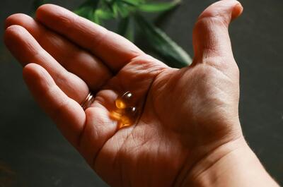 Hand holding capsules containing CBD extract, representing cannabis-derived medicine used in clinical research and medical treatment discussions.