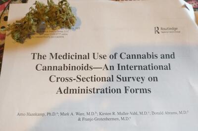 trabajo-científico-cannabis