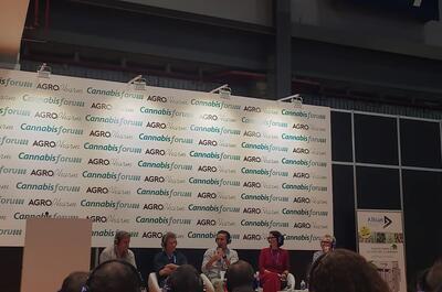 Ponentes en el Cannabis Forum de Farmaforum discuten la crisis regulatoria y el estancamiento del cannabis medicinal en España.