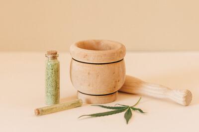 cannabis microbiome gut health.