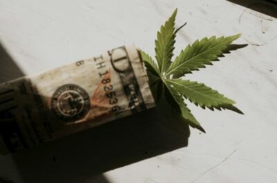 an image of a green cannabis fan leaf lurking under a paper dollar banknote left on a white table surface.