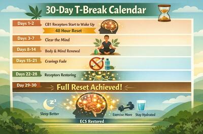 Horizontal 30-day cannabis tolerance break progress guide showing weekly milestones, from CB1 receptor reactivation in the first 48 hours to full endocannabinoid system reset by day 30, with icons for sleep, hydration, exercise, and reduced cravings.