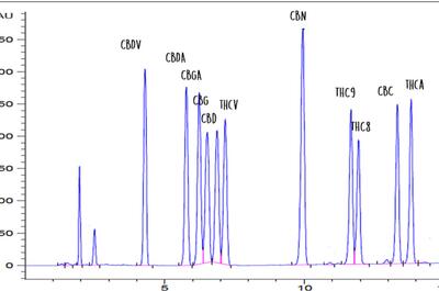 cromatografía-cannabis