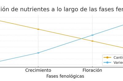  Cantidad vs variedad de nutrientes