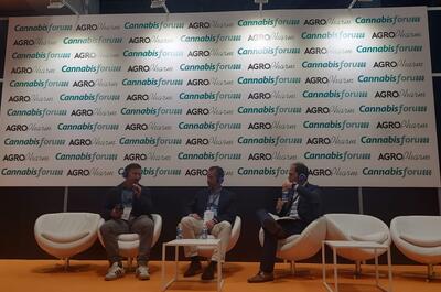 Expertos en el Cannabis Forum de Farmaforum discuten sobre los desafíos del CBD y el estancamiento de la industria del cáñamo en España.