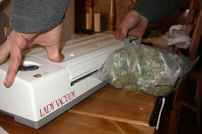 Foto de cogollos de marihuana envasados al vacío